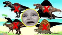 Wrong Shadow Dinosaurs! Learning Jurassic Dinosaurs Names Sounds Triceratops Dinosaurs learn Rex