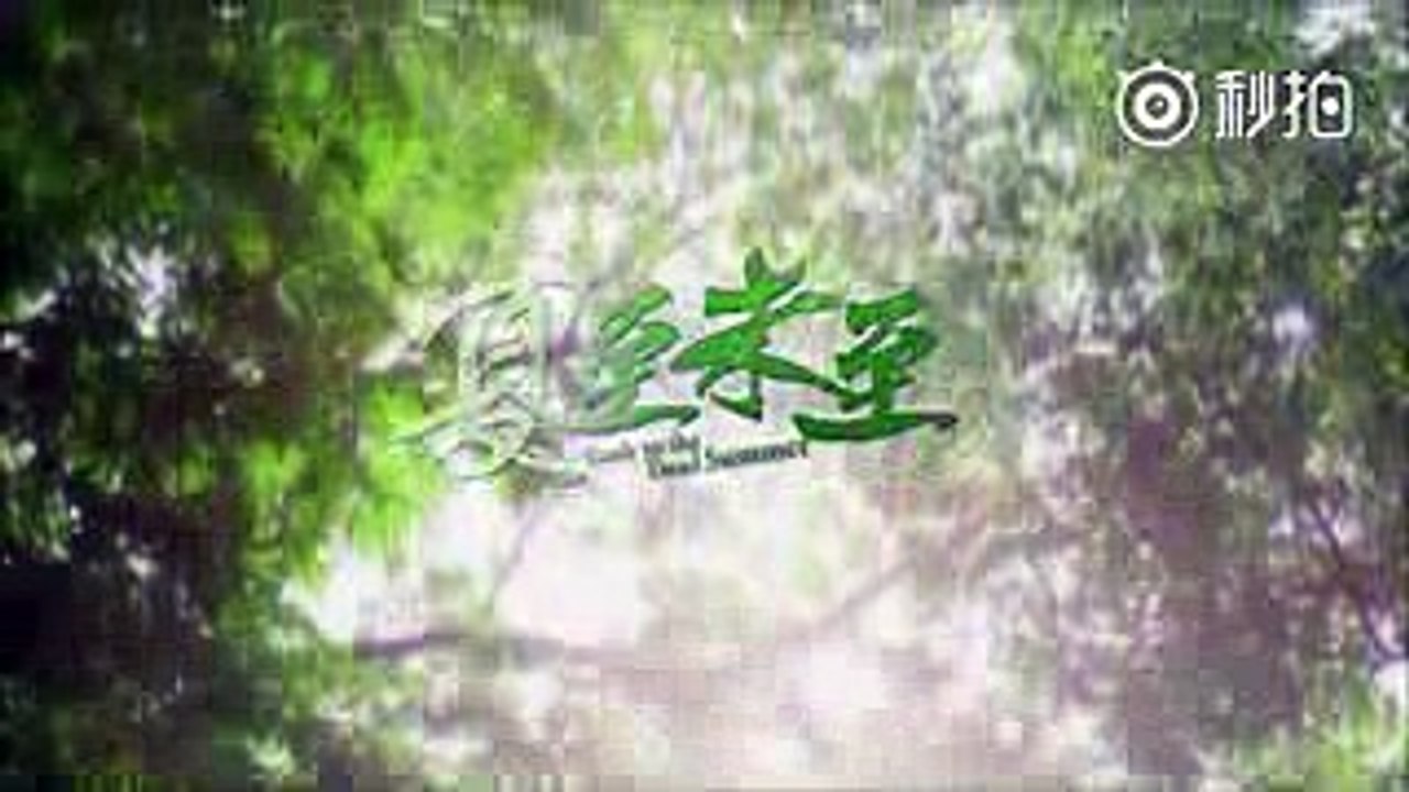 Rush to the Dead Summer (夏至未至) Trailer #1