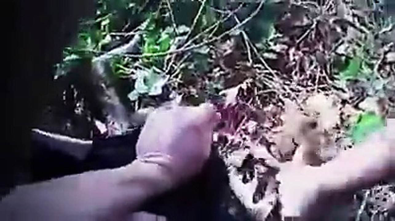 Cops Invite Media To Subdue Suspects 'Resisting Arrest' Without Force