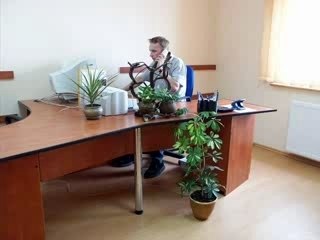 Telefon z Rawicza do Tele2