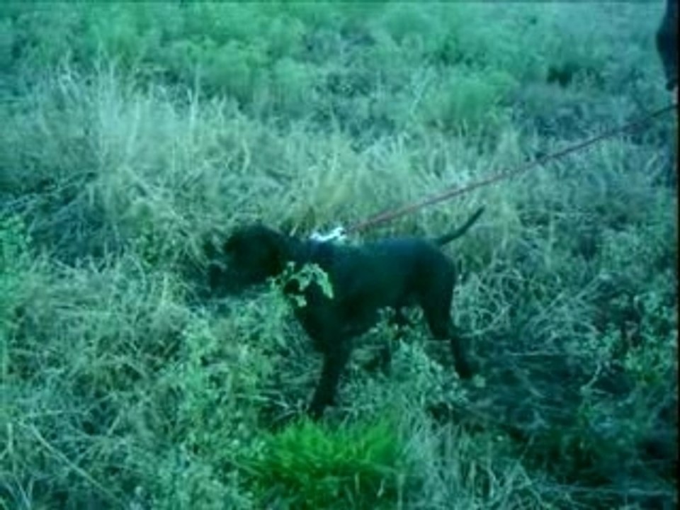 Film black 002