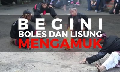 Begini Boles dan Lisung Mengamuk