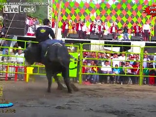 Another Juan! BeanDozer is at it again! AdoraBULL