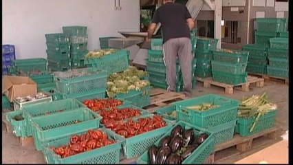 Ambargo bitti Türk gıda ürünleri yeniden Rusya'da