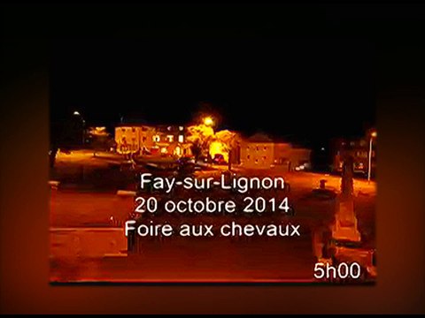 Fay-sur-Lignon la foire aux chevaux