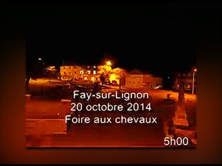 Fay-sur-Lignon la foire aux chevaux