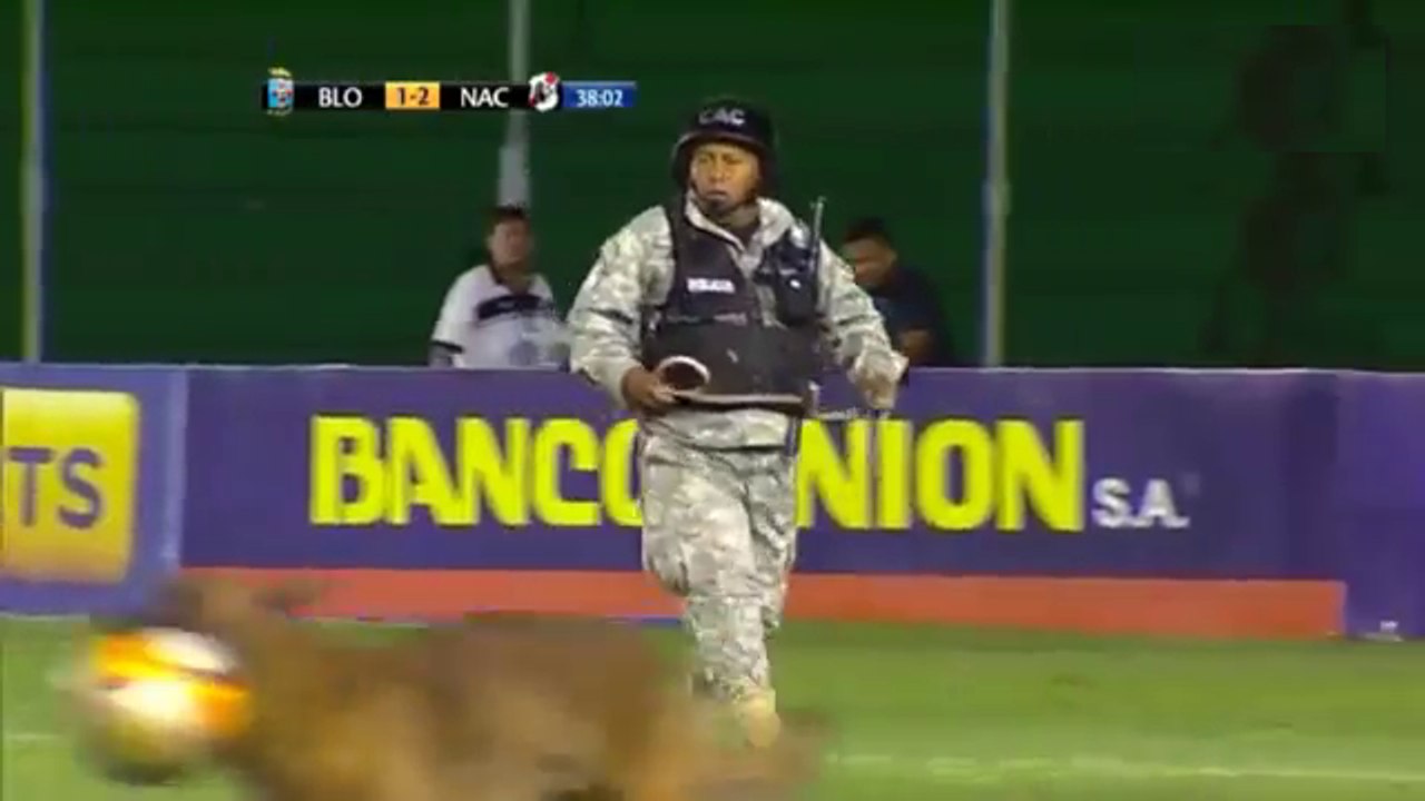El perro.
