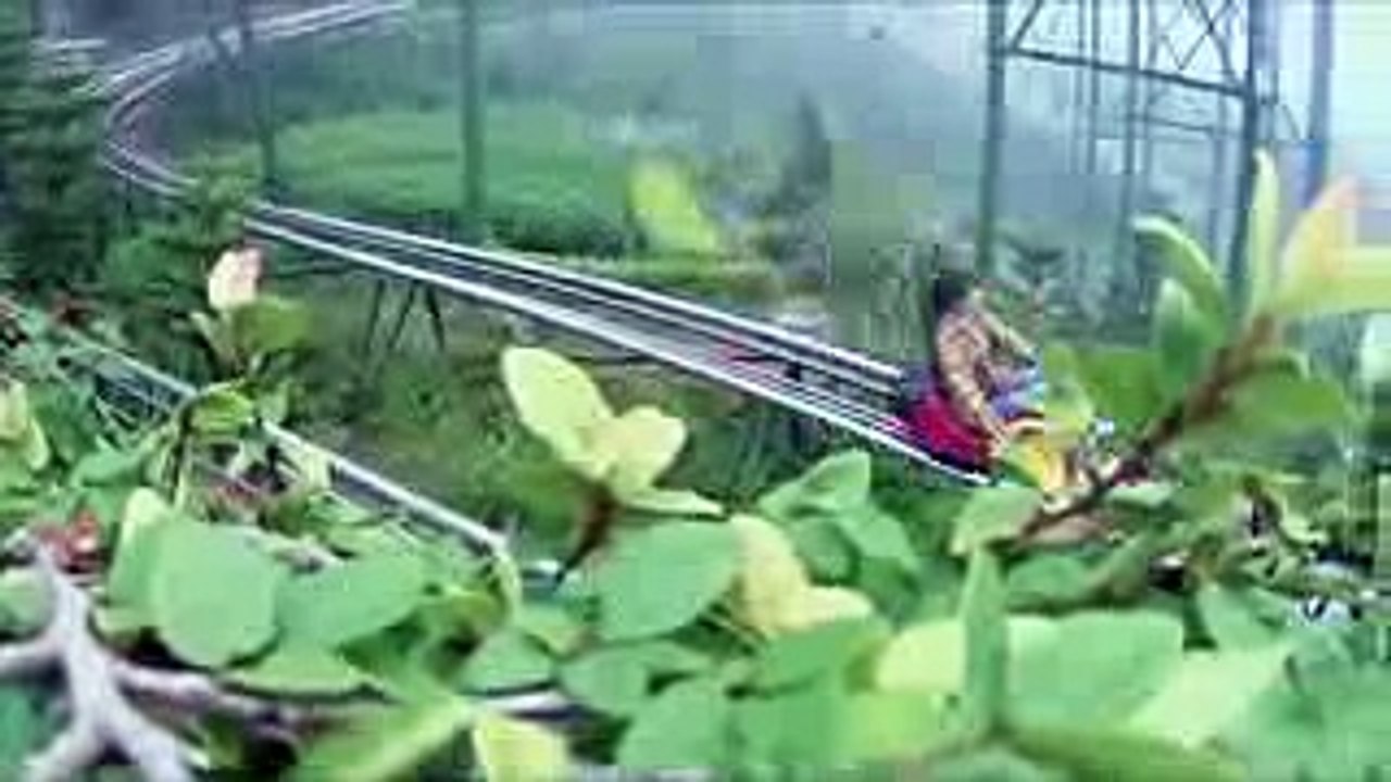 [TWICE 1001][EngSub][中字] TWICE@Carefree Travelers