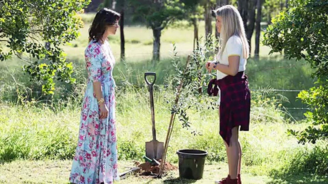 Home and Away Preview Gallery and spoiler Oct 30-Nov 2