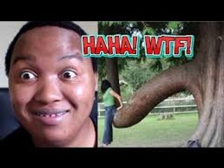 Funny videos ⁄ Funny Magic Vines⁄ Try Not to LAUGH ⁄ Stupid People Doing Stupid Things