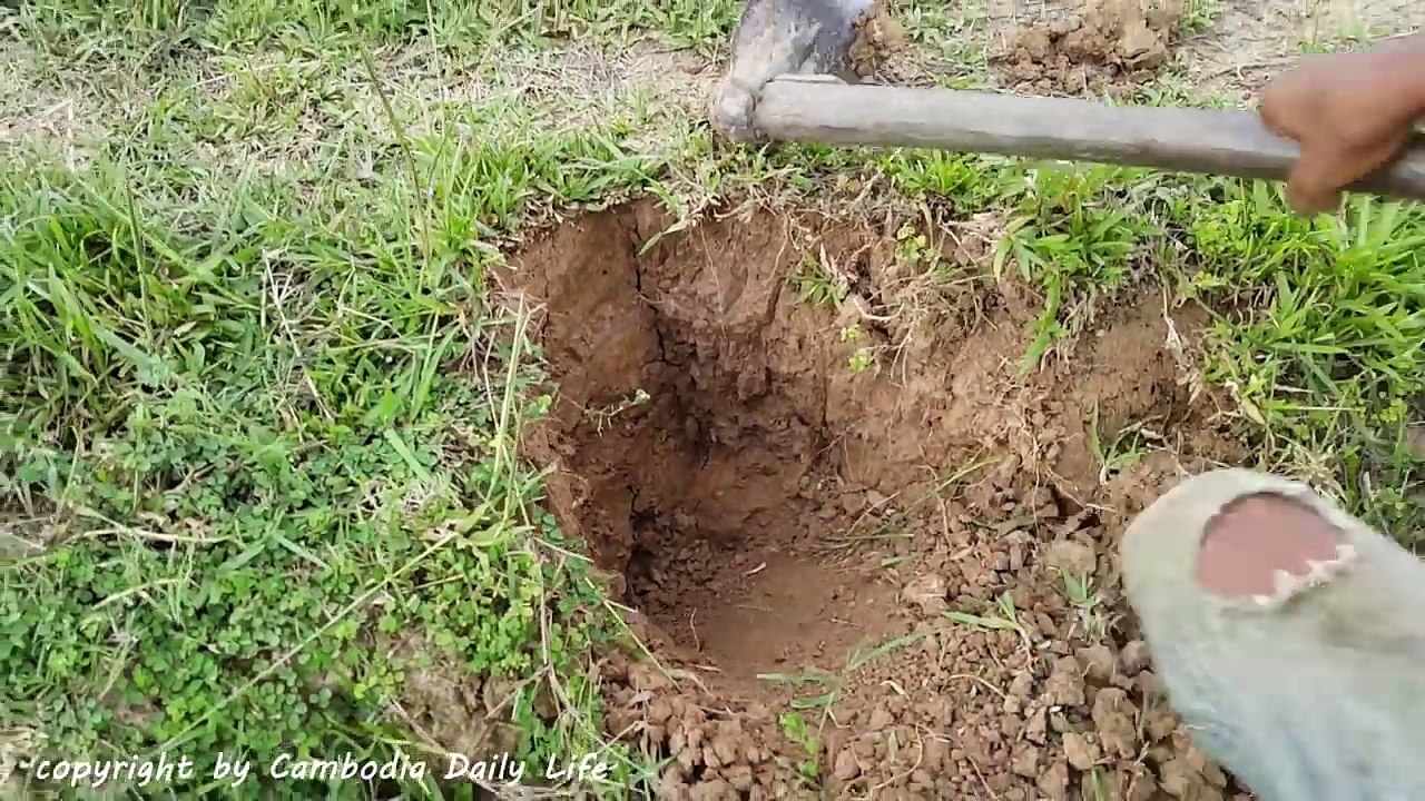 Amazing Brave Sister And Brother Catch Big Snake By Digging Hole - How To Catch Snake By D
