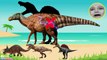 Learn Dinosaurs For Kids! Wrong Shadow Dinosaurs Spinosaurus Triceratops Tyrannosaurus Rex