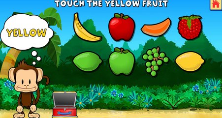 Monkey Preschool Lunchbox ღ ღ