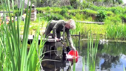 Organic pools bubble flow. How a natural pool is pumped with one airstone in 1/2 day..