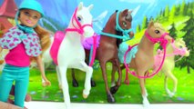 Barbie Horseback Riding Sisters   Wonder Woman Princess Diana Horse Doll Sets