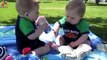 Twin Babies Fighting Arguing Compilation