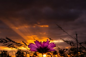 街ぶら2017㉝(夕暮れ時）-Stroll through the town 2017 vol33-([evening twilight)-