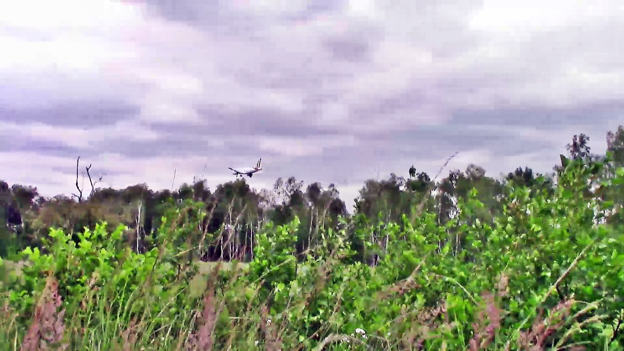 Zu Besuch in der Wahner Heide – Flugzeuge