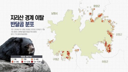 지리산 이탈 반달곰 적어도 26마리...행정체계는 미비 / YTN