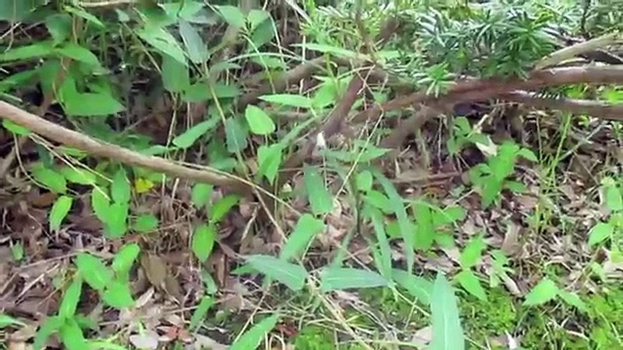 Sabadão com os Filhos no Parquinho - Gaijin no Japão