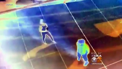 Woman gets knocked out, witnesses rob her and take selfies