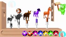 Animals For childrens Learn Colors With WOODEN FACE HAMMER XYLOPHONE jingle bells song for kids colo