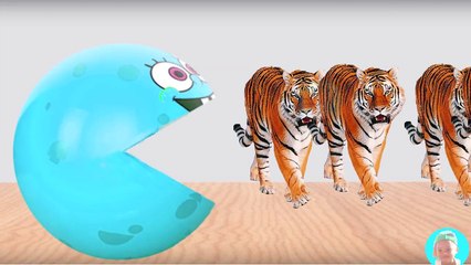 3D Pacman Suprise Eggs spongebob squarepants eating Wild Animals Painting Cartoon