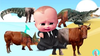 Learning Wild Animals for kids in English Funny crocodile dinosaur triceratops Cow Elephant Africa Z