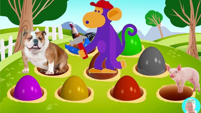 Farm Animals Colors Surprise Eggs Pig Sheep Horse Wooden Hammer Monkey Learn Colors farm animals car