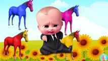 Wrong Heads Bodies Color Horse Finger Family Nursery Rhymes Collection For Kids