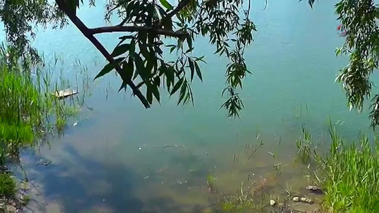 На ОЗЕРЕ. рыбалка на поплавочную удочку, Рыбалка. Ловля карася, карпа на поплавочную удочку. fishing