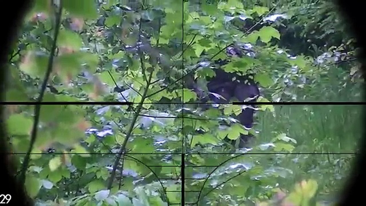 BEST of NOVRITSCH 2016 - Fails, Fun and Epic Moments