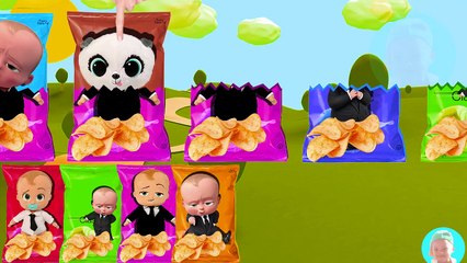 Boss Baby Cartoon Youtube Wrong Body Learn Colours With Boss Baby for Kids