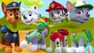 Mega gummy bear colors Wrong Heads Paw Patrol Chase and Skye finger family collection for kids