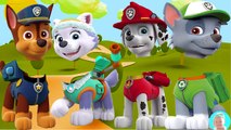 Mega gummy bear colors Wrong Heads Paw Patrol Chase and Skye finger family collection for kids