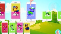 Paw patrol Wrong Heads of Mobile Phones, Learn Colors with Paw patrol Chase