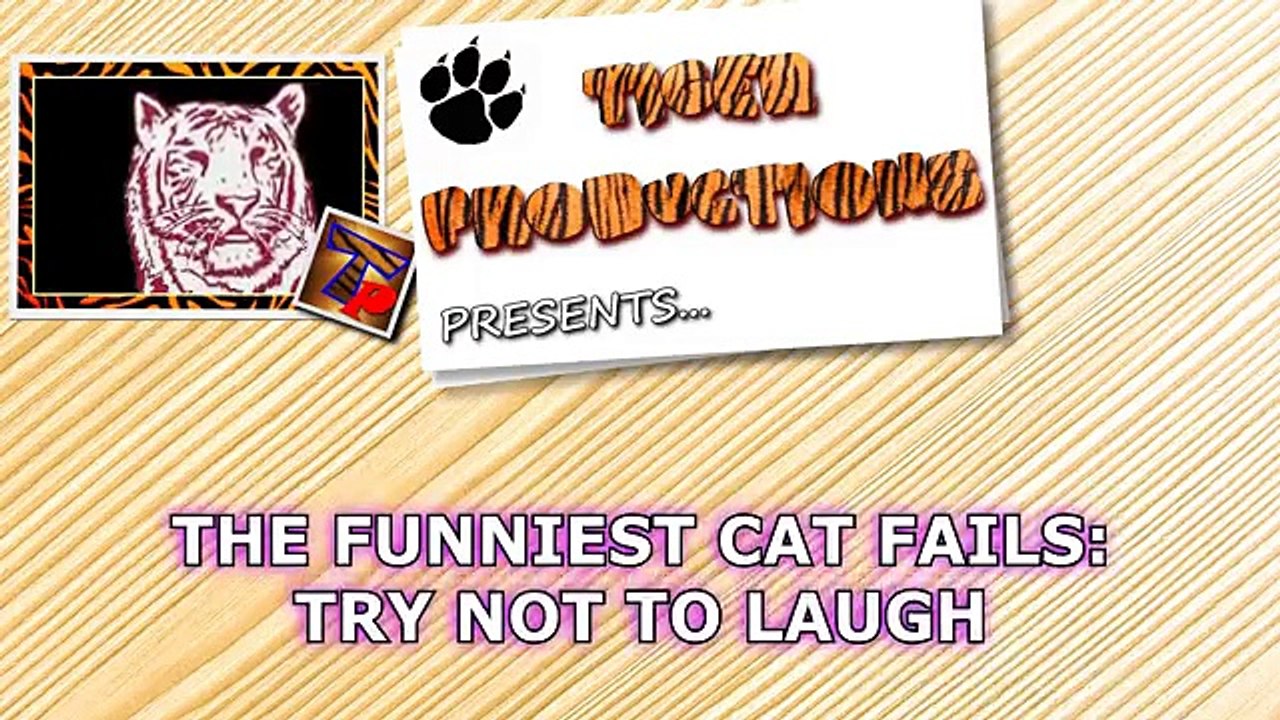 Funny CAT FAILS that will make you POOP YOUR PANTS FROM LAUGHING - Best CAT compilation