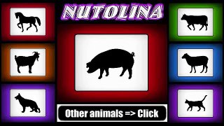 Animal sounds: Pig sounds - Pig sound effect