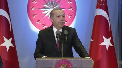 Erdoğan: "Türkiye Bir Kabile Devleti Değildir"