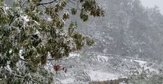 East Tennessee Sees Snow on the Mountains