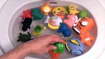 Finger Family Shark VS Sea Animals Learning Nemo And Dori Names And Sound Nursery Rhymes