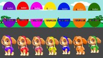 Colors for Kids to Learn with PAW Patrol Team Ryder,Chase,Marshall,Skye,Rocky,Everest,Zuma,Rubble