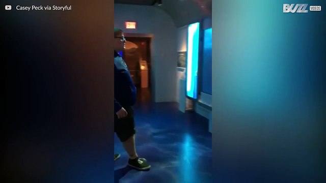 Virtual jaws frightens unsuspecting museum visitor