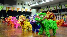 [Múa Lân Sư Rồng] - Liên Hoan LSR Q11 Lần 6 2016 | Top Biggest World Lion Dance