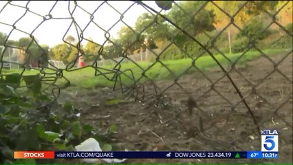 Beloved Tortoise Believed to be Taken From Middle School Farm