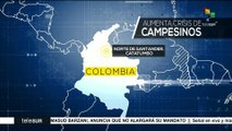Denuncian campesinos colombianos erradicación forzada de cultivos