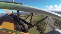 Albatros D-II - New Zealand