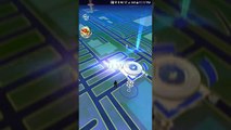 Pokémon GO Gym Battles 2 Level 9 Gyms Blissey Steelix Tyranitar Donphan Kingdra & more