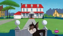 Tom y Jerry Malas pulgas nuevos episodios 2018