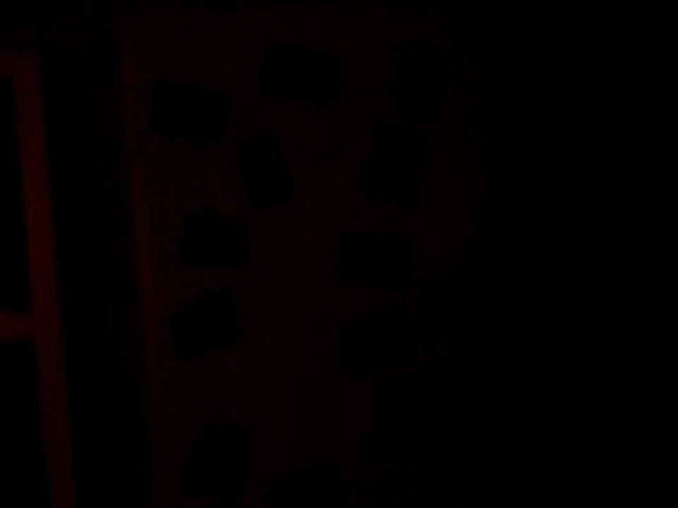 100_3145
